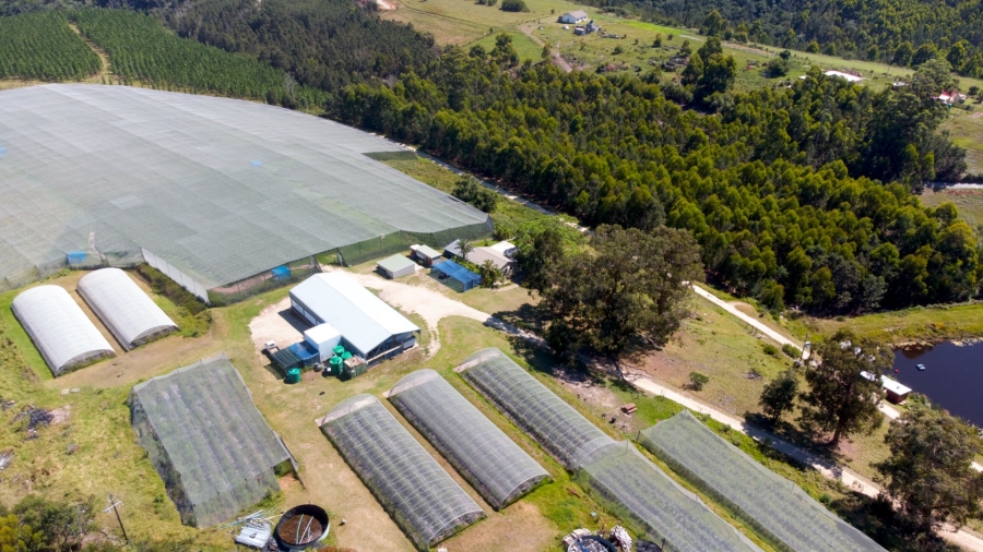Commercial Property for Sale in Sedgefield Rural Western Cape